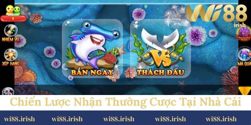 Chiến lược nhận nhiều thưởng cược tại nhà cái