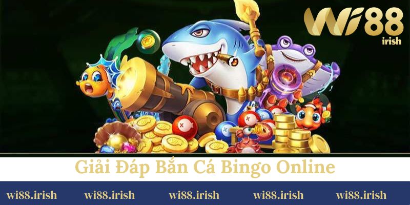 Giải đáp bắn cá bingo online: sức hấp dẫn 
