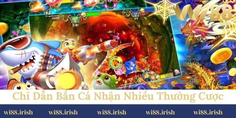 Chỉ dẫn bắn cá tại nhà cái nhận nhiều thưởng cược