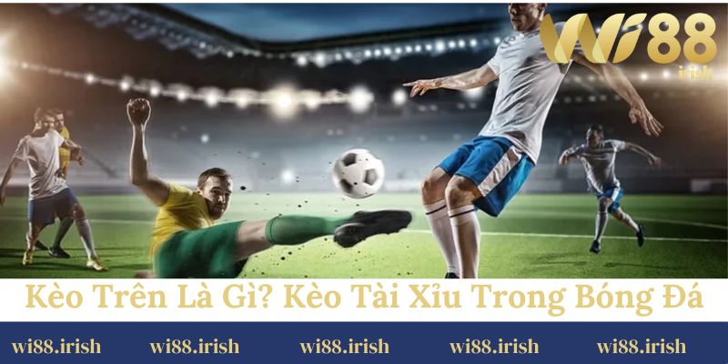 Kèo trên là gì? Kèo tài xỉu trong bóng đá