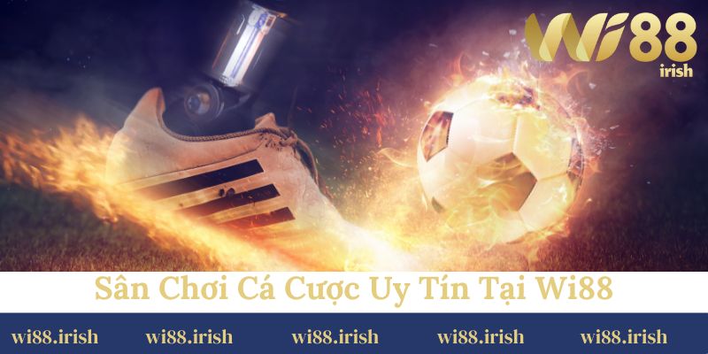 Sân chơi cá cược uy tín tại Wi88