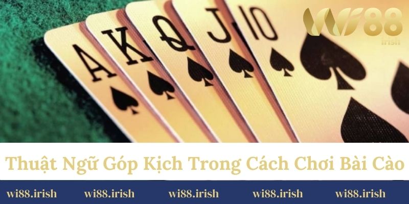 Thuật ngữ góp kịch trong cách chơi bài cào
