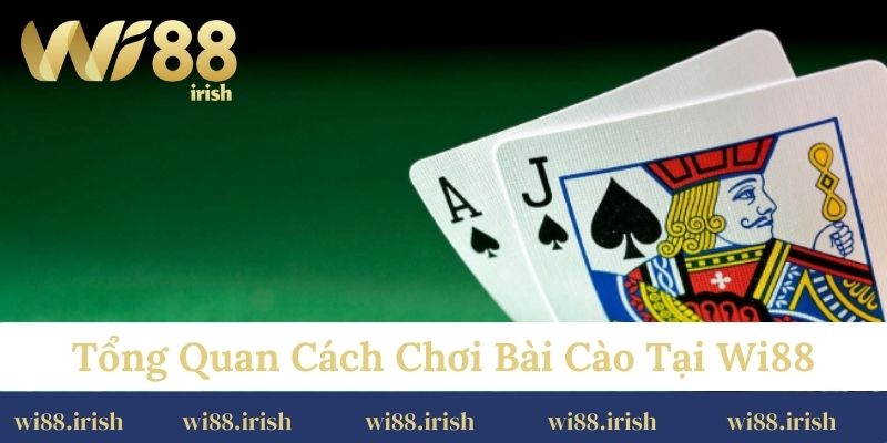 Tổng quan cách chơi bài cào tại Wi88