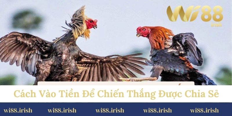 Cách vào tiền để chiến thắng được chia sẻ