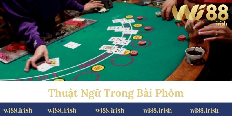 Thuật ngữ trong bài phỏm